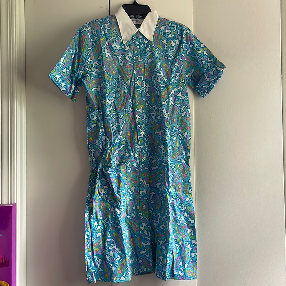 Absolutely Beautiful Vintage Paisley Collared Dress